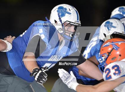 Thumbnail 3 in Osceola @ Dixie Hollins photogallery.