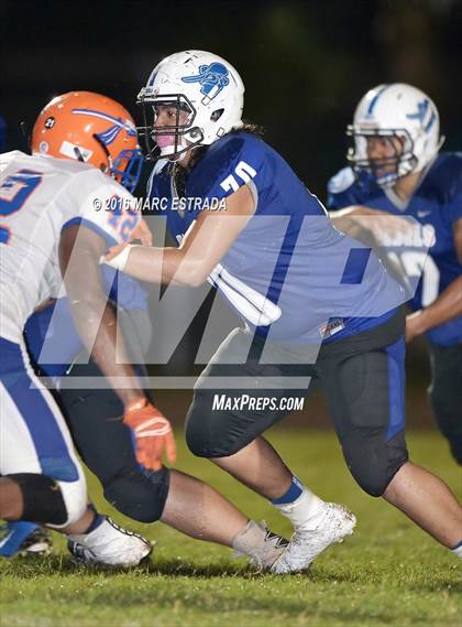 Thumbnail 3 in Osceola @ Dixie Hollins photogallery.