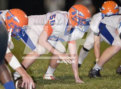 Thumbnail 1 in Osceola @ Dixie Hollins photogallery.