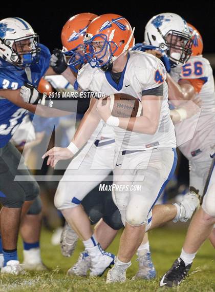 Thumbnail 3 in Osceola @ Dixie Hollins photogallery.