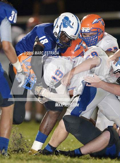 Thumbnail 1 in Osceola @ Dixie Hollins photogallery.
