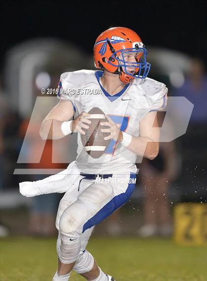 Thumbnail 2 in Osceola @ Dixie Hollins photogallery.