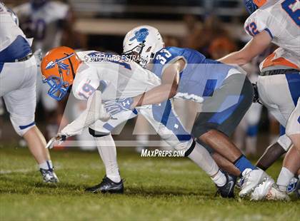 Thumbnail 3 in Osceola @ Dixie Hollins photogallery.
