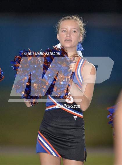 Thumbnail 1 in Osceola @ Dixie Hollins photogallery.