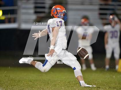 Thumbnail 2 in Osceola @ Dixie Hollins photogallery.