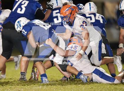 Thumbnail 3 in Osceola @ Dixie Hollins photogallery.