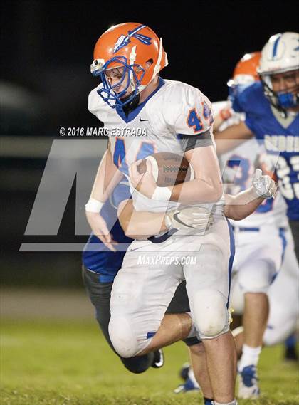 Thumbnail 1 in Osceola @ Dixie Hollins photogallery.