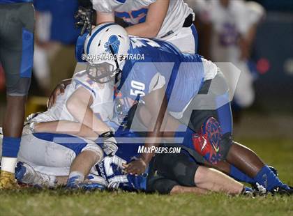 Thumbnail 2 in Osceola @ Dixie Hollins photogallery.