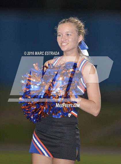 Thumbnail 3 in Osceola @ Dixie Hollins photogallery.