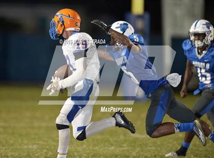 Thumbnail 2 in Osceola @ Dixie Hollins photogallery.