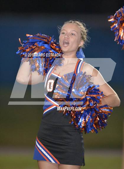 Thumbnail 2 in Osceola @ Dixie Hollins photogallery.