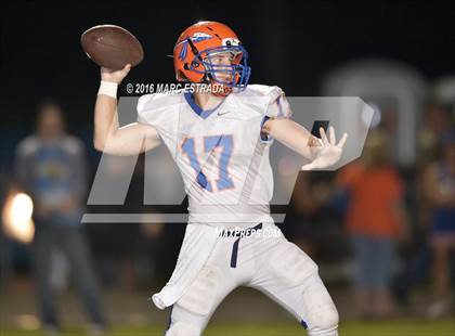 Thumbnail 3 in Osceola @ Dixie Hollins photogallery.