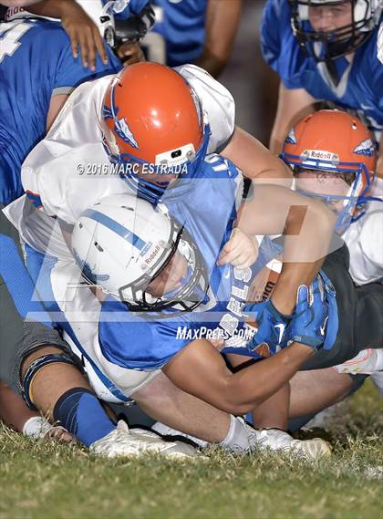 Thumbnail 1 in Osceola @ Dixie Hollins photogallery.