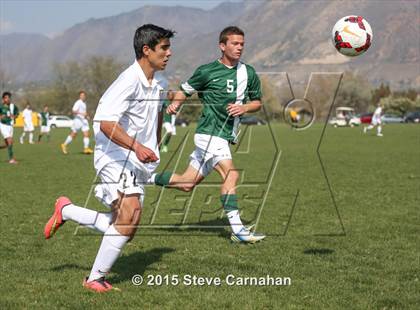 Thumbnail 3 in Hillcrest @ Cottonwood photogallery.