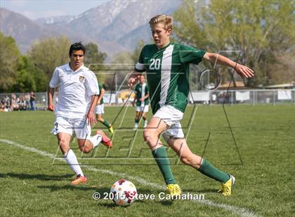 Thumbnail 2 in Hillcrest @ Cottonwood photogallery.