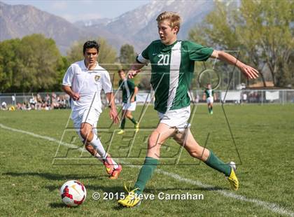 Thumbnail 3 in Hillcrest @ Cottonwood photogallery.