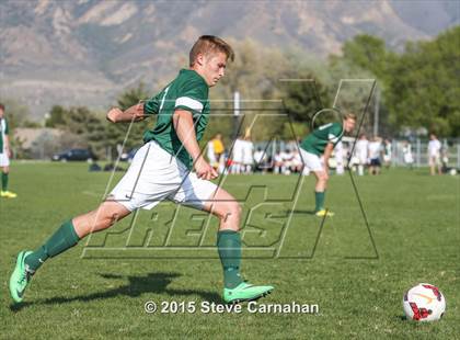 Thumbnail 1 in Hillcrest @ Cottonwood photogallery.