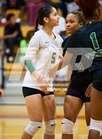 Photo from the gallery "Klein Forest @ North Shore"