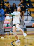 Photo from the gallery "Klein Forest @ North Shore"