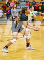 Photo from the gallery "Klein Forest @ North Shore"