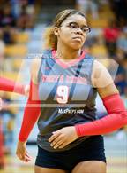 Photo from the gallery "Klein Forest @ North Shore"