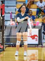 Photo from the gallery "Klein Forest @ North Shore"