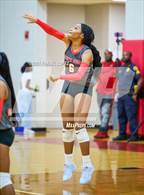 Photo from the gallery "Klein Forest @ North Shore"