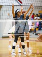 Photo from the gallery "Klein Forest @ North Shore"