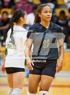 Photo from the gallery "Klein Forest @ North Shore"