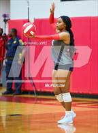 Photo from the gallery "Klein Forest @ North Shore"