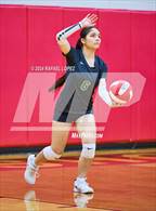 Photo from the gallery "Klein Forest @ North Shore"