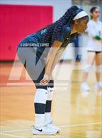 Photo from the gallery "Klein Forest @ North Shore"