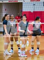 Photo from the gallery "Klein Forest @ North Shore"