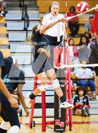Photo from the gallery "Klein Forest @ North Shore"