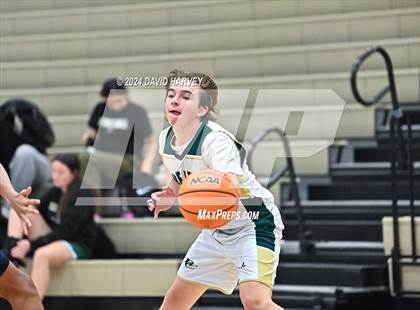 Thumbnail 1 in Columbine vs Bear Creek photogallery.