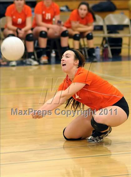 Thumbnail 3 in Woodland @ Inderkum photogallery.