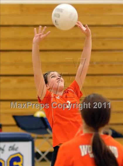 Thumbnail 1 in Woodland @ Inderkum photogallery.