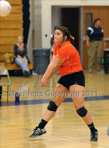 Thumbnail 2 in Woodland @ Inderkum photogallery.