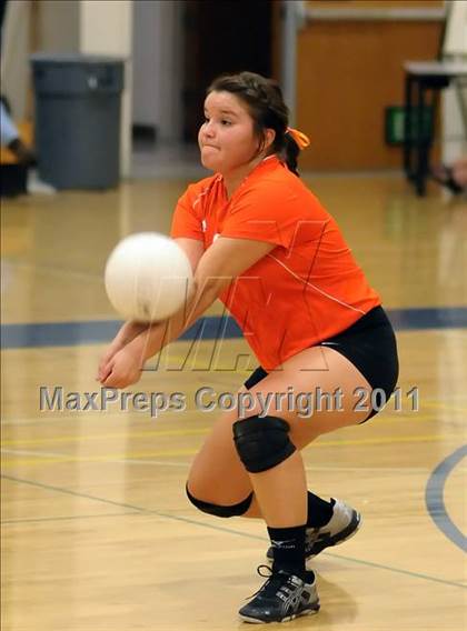 Thumbnail 3 in Woodland @ Inderkum photogallery.