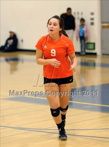 Thumbnail 3 in Woodland @ Inderkum photogallery.