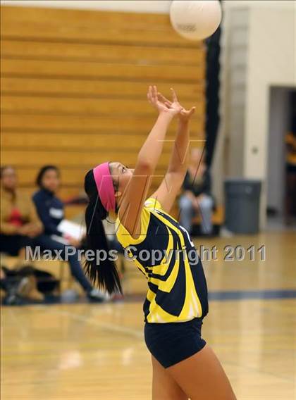 Thumbnail 3 in Woodland @ Inderkum photogallery.
