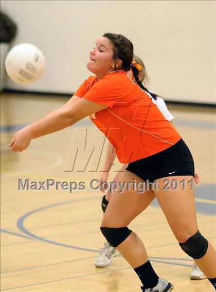 Thumbnail 2 in Woodland @ Inderkum photogallery.