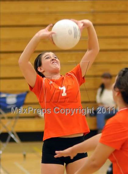 Thumbnail 1 in Woodland @ Inderkum photogallery.
