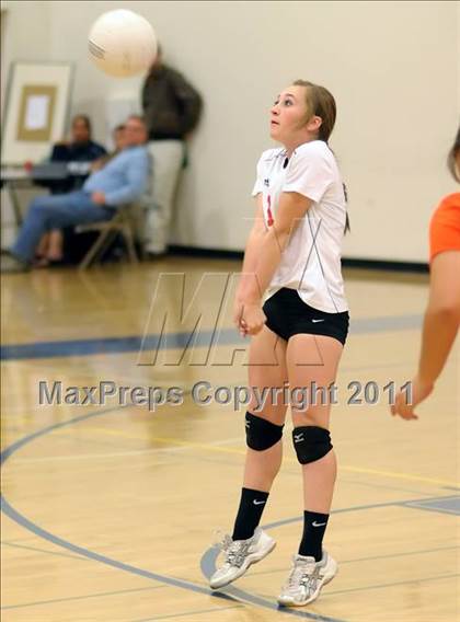 Thumbnail 3 in Woodland @ Inderkum photogallery.