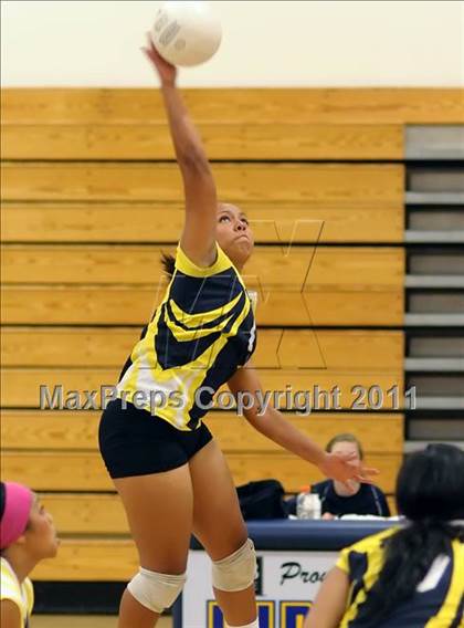 Thumbnail 1 in Woodland @ Inderkum photogallery.
