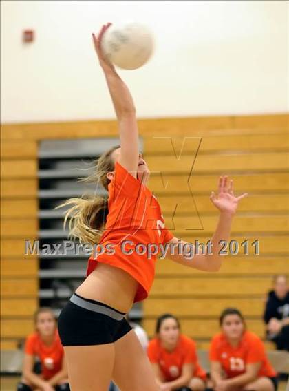 Thumbnail 2 in Woodland @ Inderkum photogallery.