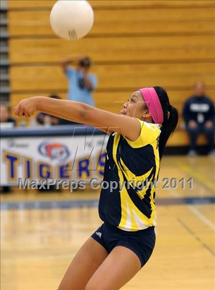 Thumbnail 1 in Woodland @ Inderkum photogallery.