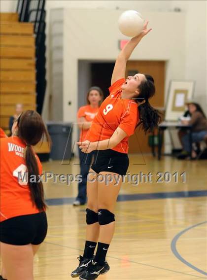 Thumbnail 2 in Woodland @ Inderkum photogallery.