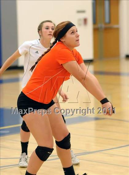 Thumbnail 1 in Woodland @ Inderkum photogallery.