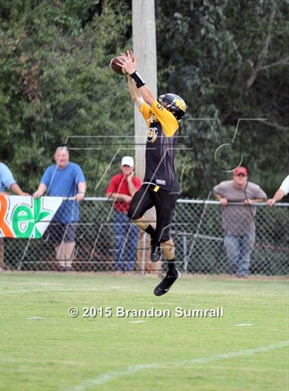 Thumbnail 1 in Maplesville @ Billingsley  photogallery.